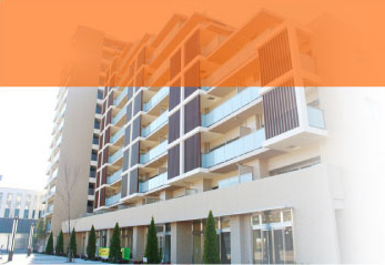 �u���Ђ̂��Љ�铊���p�s���Y�v